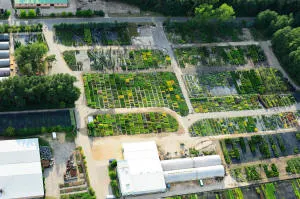 Қылқан жапырақты, жапырақты ағаштар мен көпжылдық өсімдіктер питомнигі